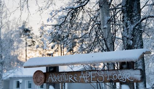 Accommodatie in Finland